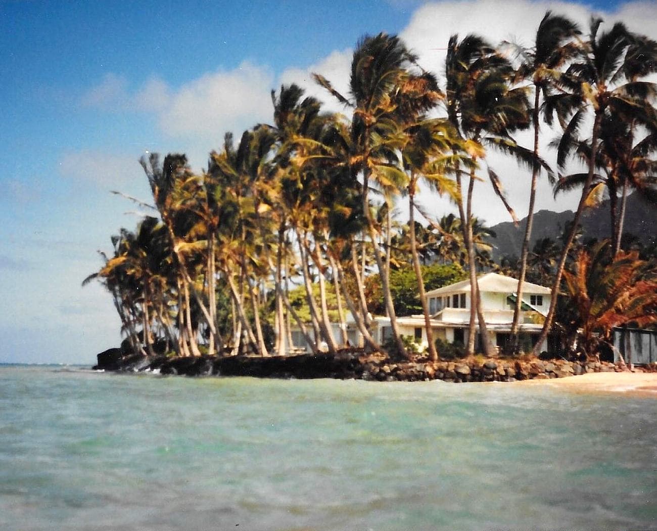 Oʻahu home surrounded by palm trees