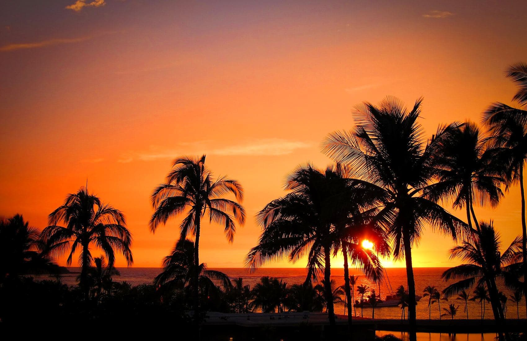 Sunset over palm trees on Oʻahu